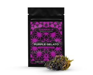 canna x purple gelato