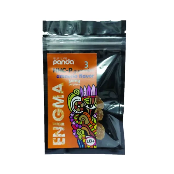 Panda enigma amnesia 3